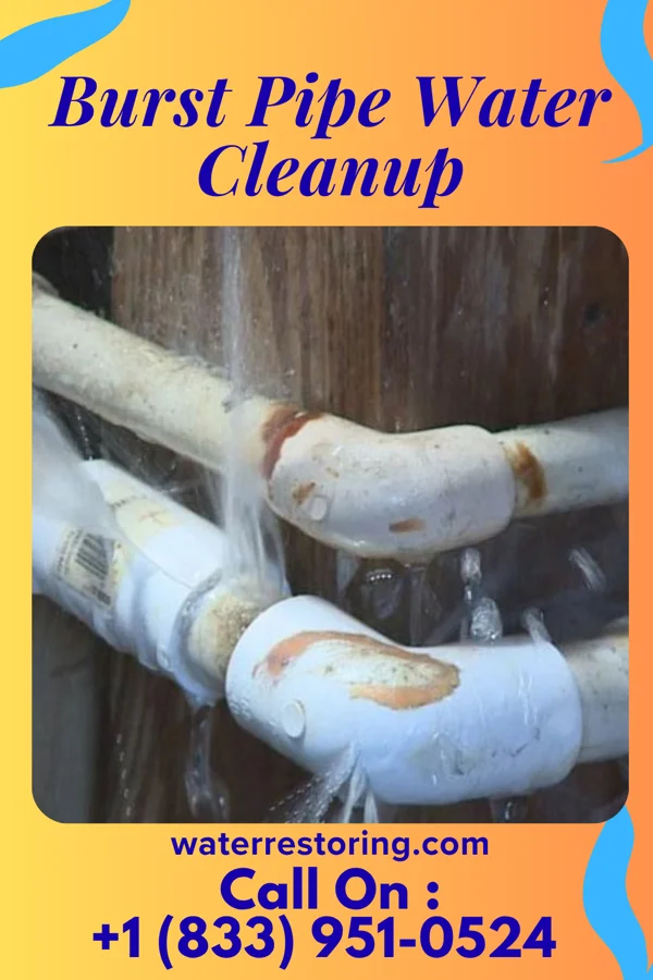 Burst Pipe Water Cleanup in Woodburn, VA