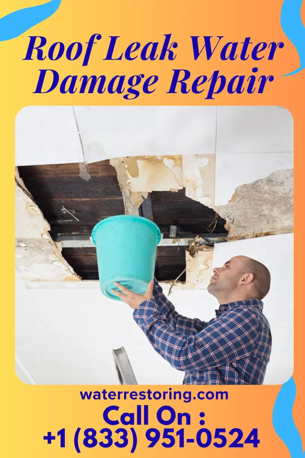 Roof Leak Water Damage Repair in Woodburn, VA