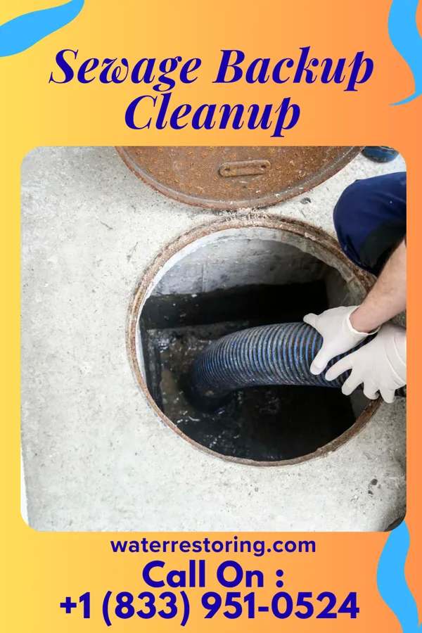 Sewage Backup Cleanup in Woodburn, VA