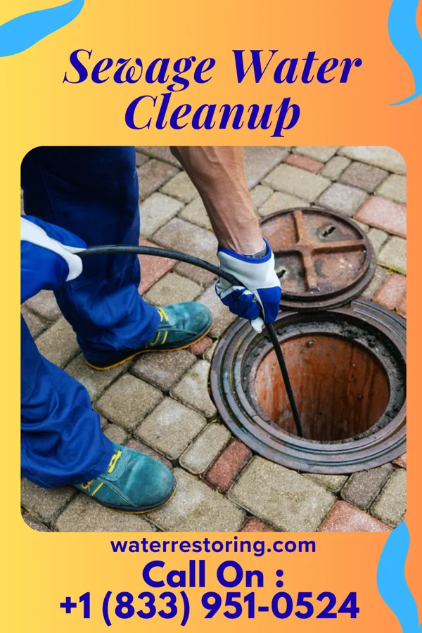 Sewage Water Cleanup in Woodburn, VA