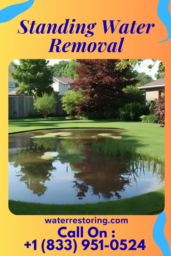 Standing Water Removal in Woodburn, VA